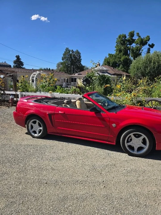 1999 Ford SN95 Mustang - Image 6 of 8