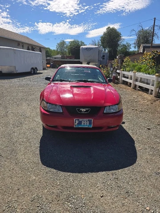 1999 Ford SN95 Mustang - Image 2 of 8