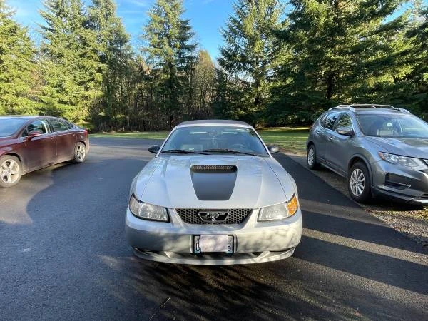 1999 Ford SN95 Mustang - Image 2 of 11
