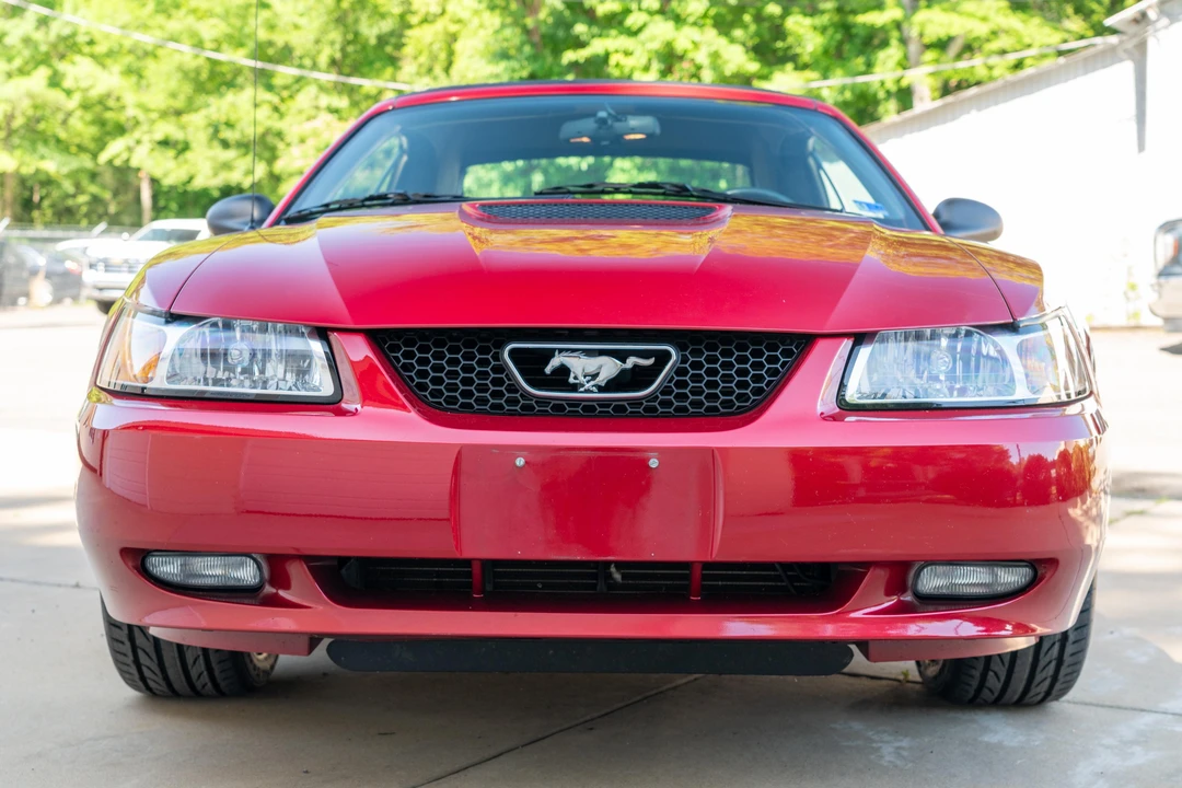 1999 Ford SN95 Mustang - Image 10 of 31