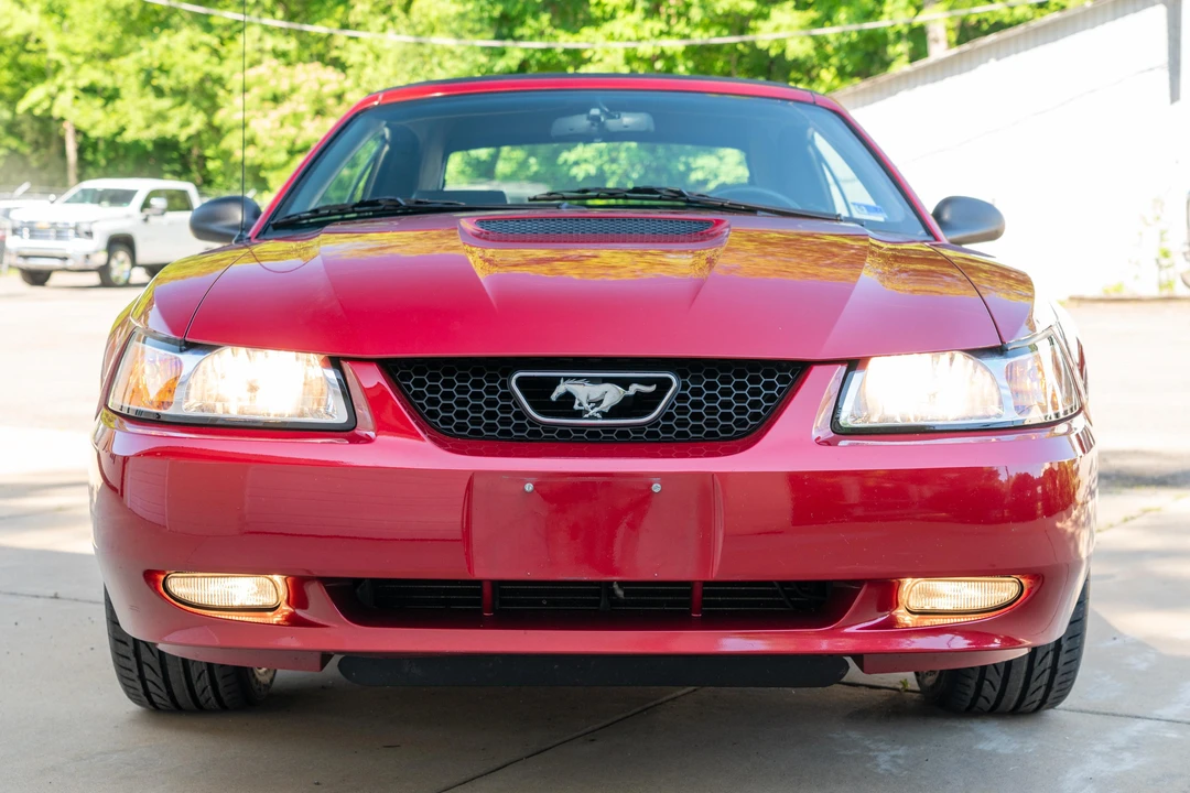 1999 Ford SN95 Mustang - Image 11 of 31