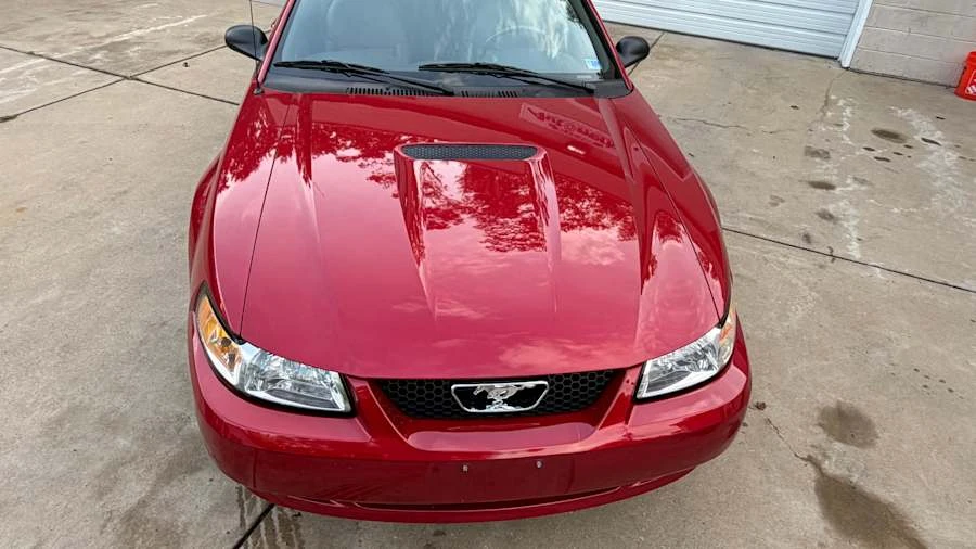 1999 Ford SN95 Mustang - Image 4 of 12