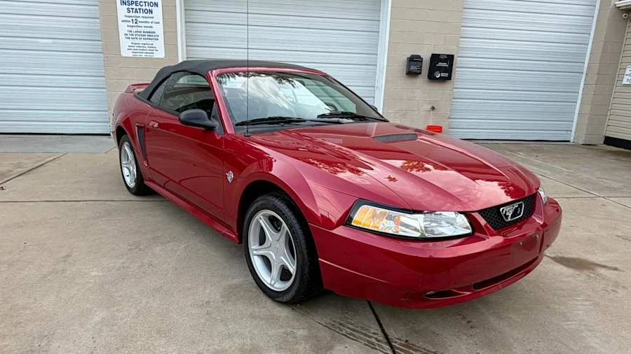 1999 Ford SN95 Mustang - Image 6 of 12