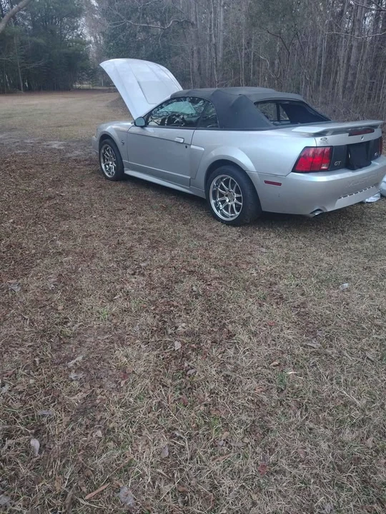 1999 Ford SN95 Mustang - Image 4 of 5