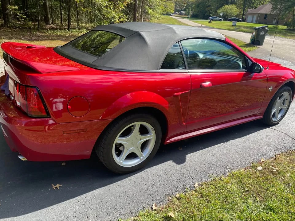 1999 Ford SN95 Mustang - Image 5 of 12
