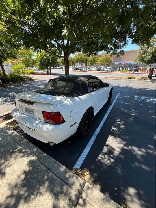 1999 Ford SN95 Mustang - Image 6 of 8