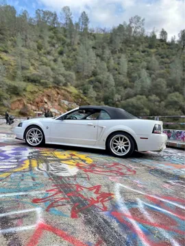 1999 Ford Mustang GT Convertible