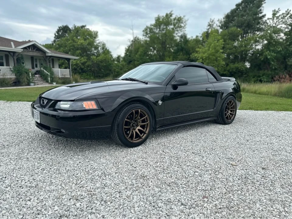 1999 Ford SN95 Mustang - Image 8 of 8