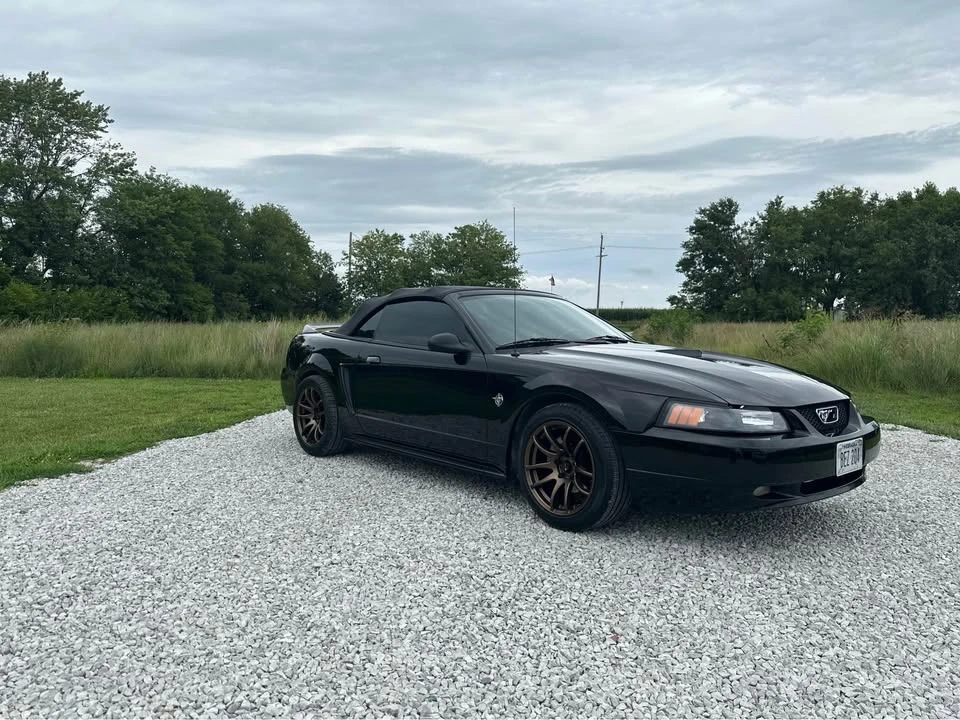 1999 Ford SN95 Mustang - Image 6 of 8