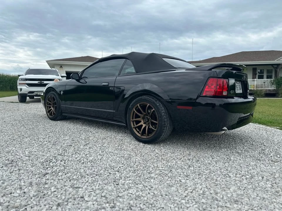 1999 Ford SN95 Mustang - Image 7 of 8