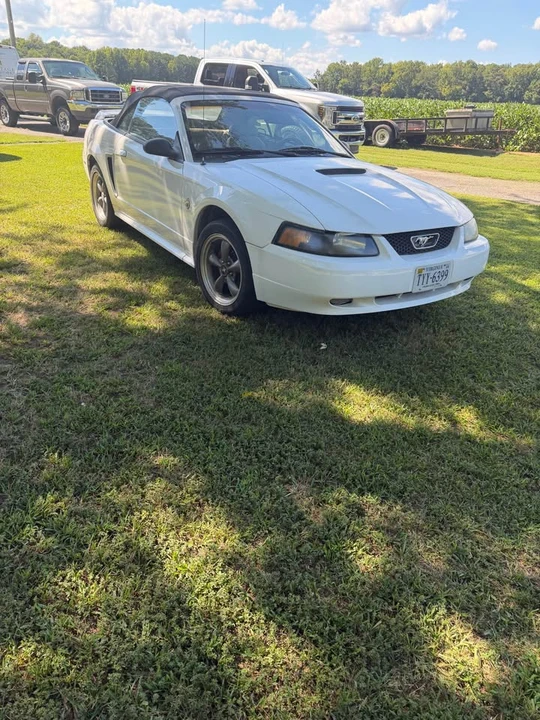 1999 Ford SN95 Mustang - Image 5 of 8