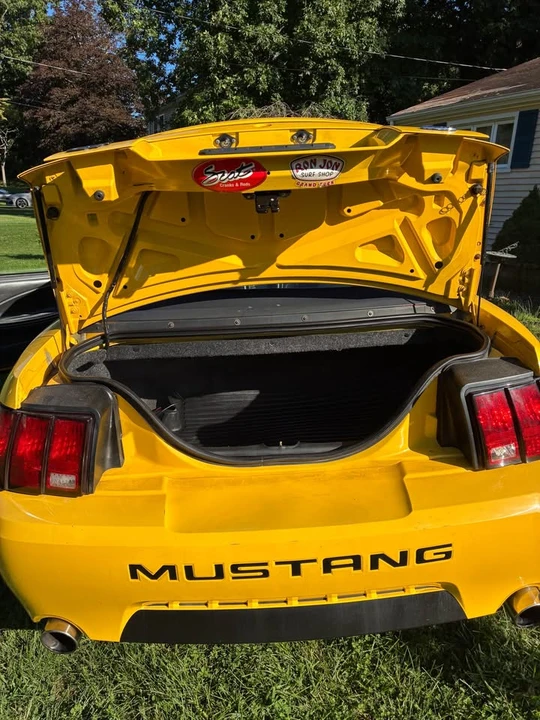 1999 Ford SN95 Mustang - Image 4 of 12