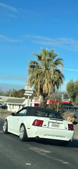 1999 Ford SN95 Mustang - Image 10 of 10
