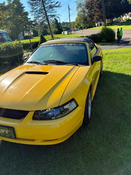 1999 Ford SN95 Mustang - Image 6 of 12