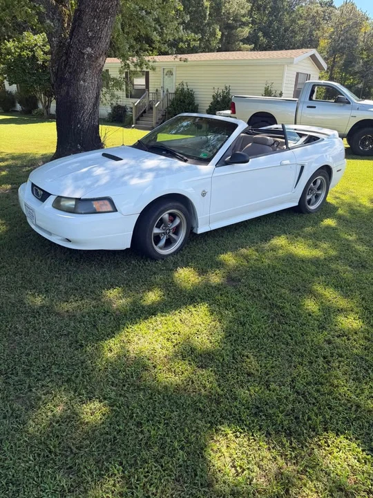 1999 Ford SN95 Mustang - Image 6 of 8