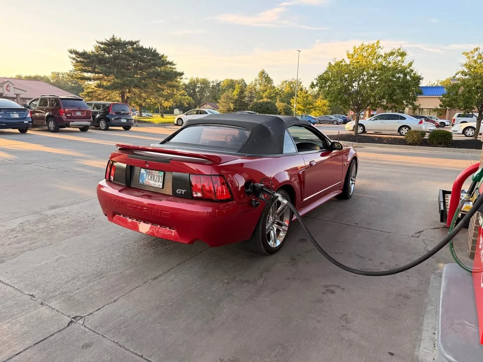 1999 Ford SN95 Mustang - Image 4 of 5