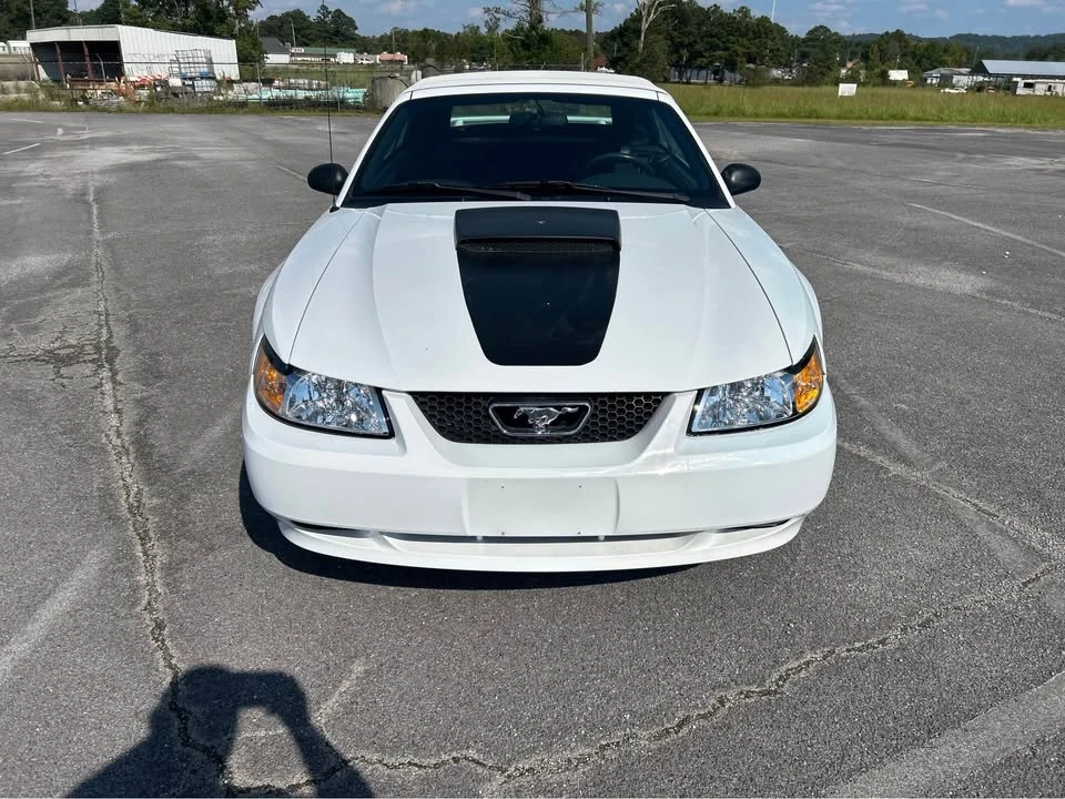 1999 Ford SN95 Mustang - Image 7 of 10