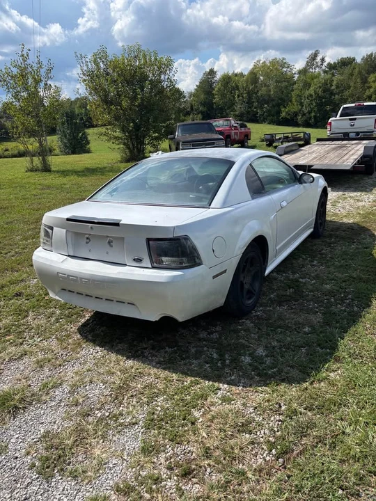 1999 Ford SN95 Mustang - Image 2 of 5