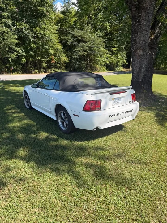 1999 Ford SN95 Mustang - Image 3 of 8