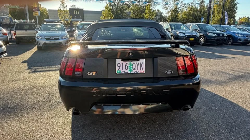 1999 Ford SN95 Mustang - Image 6 of 16