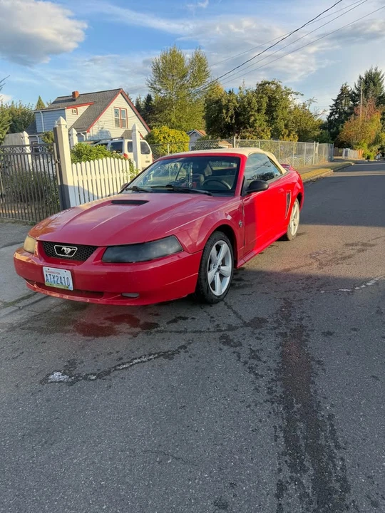 1999 Ford SN95 Mustang - Image 8 of 10