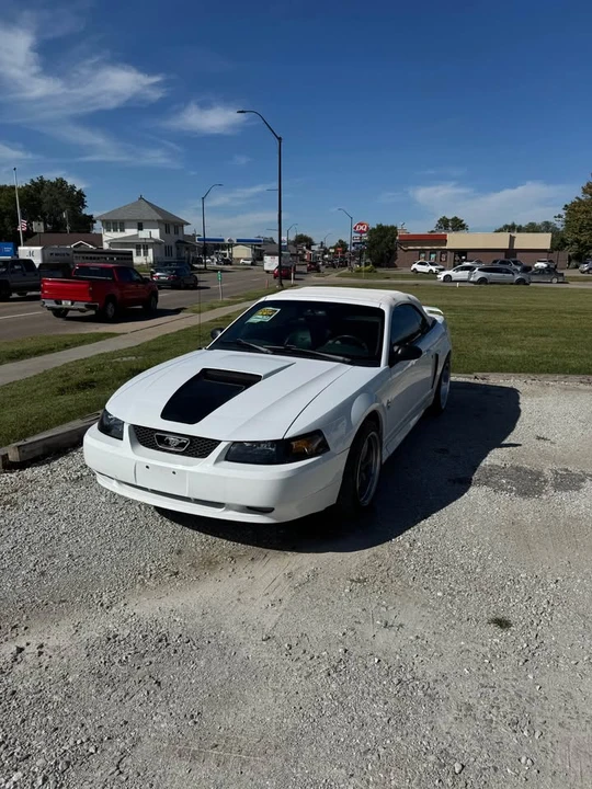 1999 Ford SN95 Mustang - Image 2 of 7