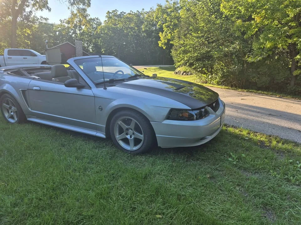 1999 Ford SN95 Mustang - Image 5 of 8