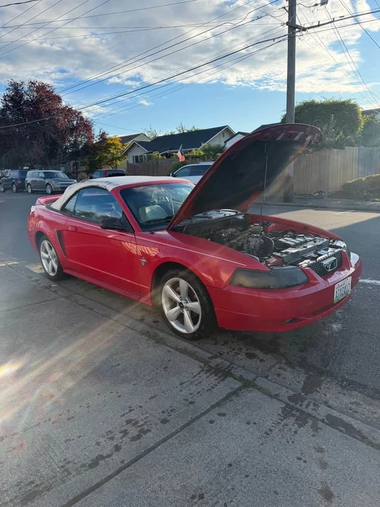 1999 Ford SN95 Mustang - Image 10 of 10