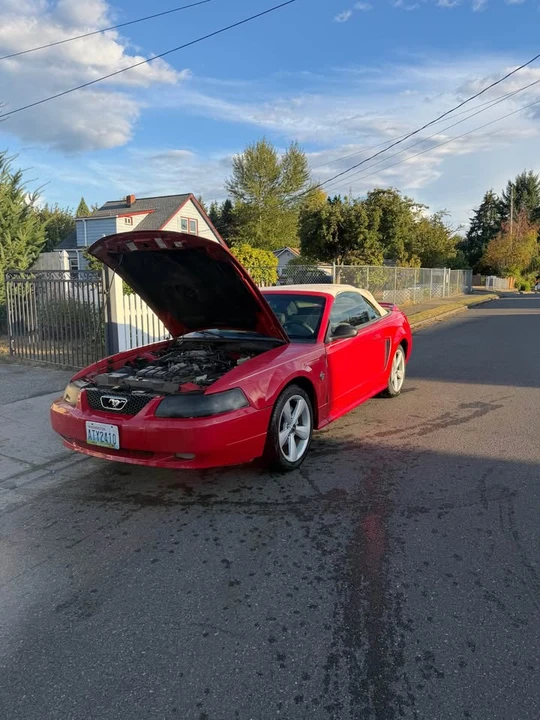 1999 Ford SN95 Mustang - Image 3 of 10