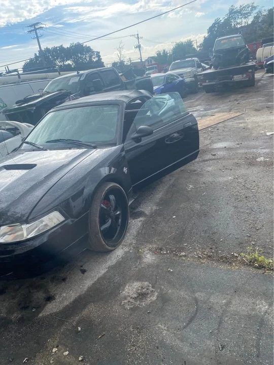 1999 Ford SN95 Mustang - Image 4 of 9