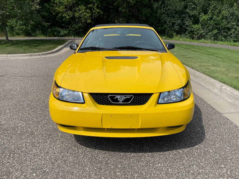 1999 Ford SN95 Mustang - Image 7 of 24