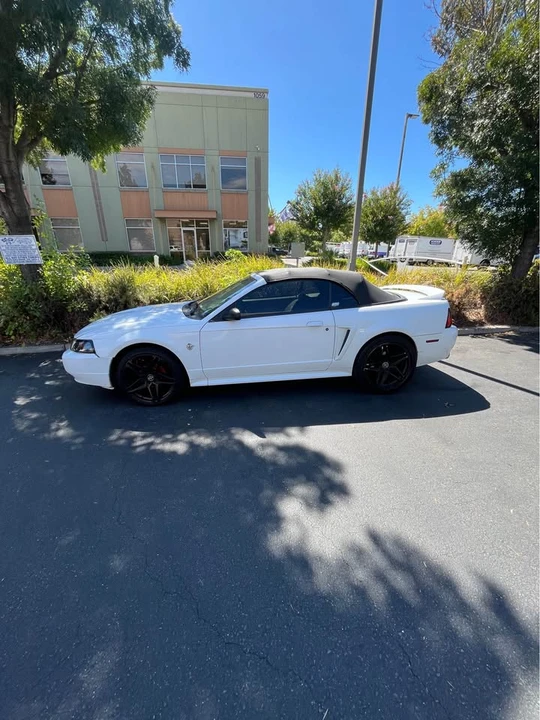 1999 Ford SN95 Mustang - Image 3 of 11