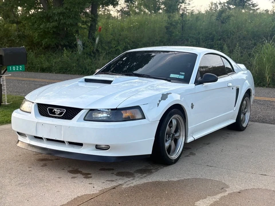 1999 Ford SN95 Mustang - Image 4 of 9