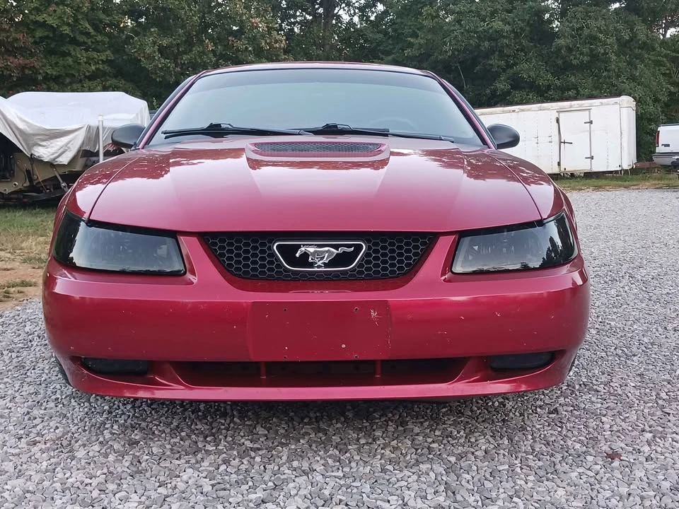 1999 Ford SN95 Mustang - Image 3 of 10