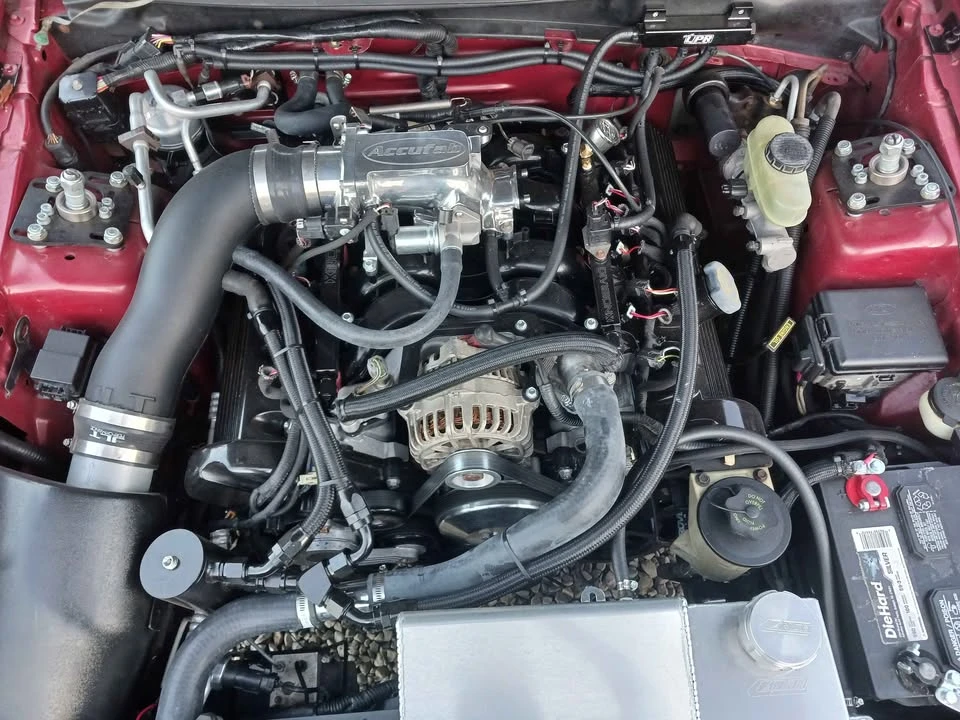1999 Ford SN95 Mustang - Image 6 of 10