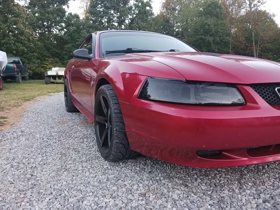 1999 Ford SN95 Mustang - Image 4 of 10