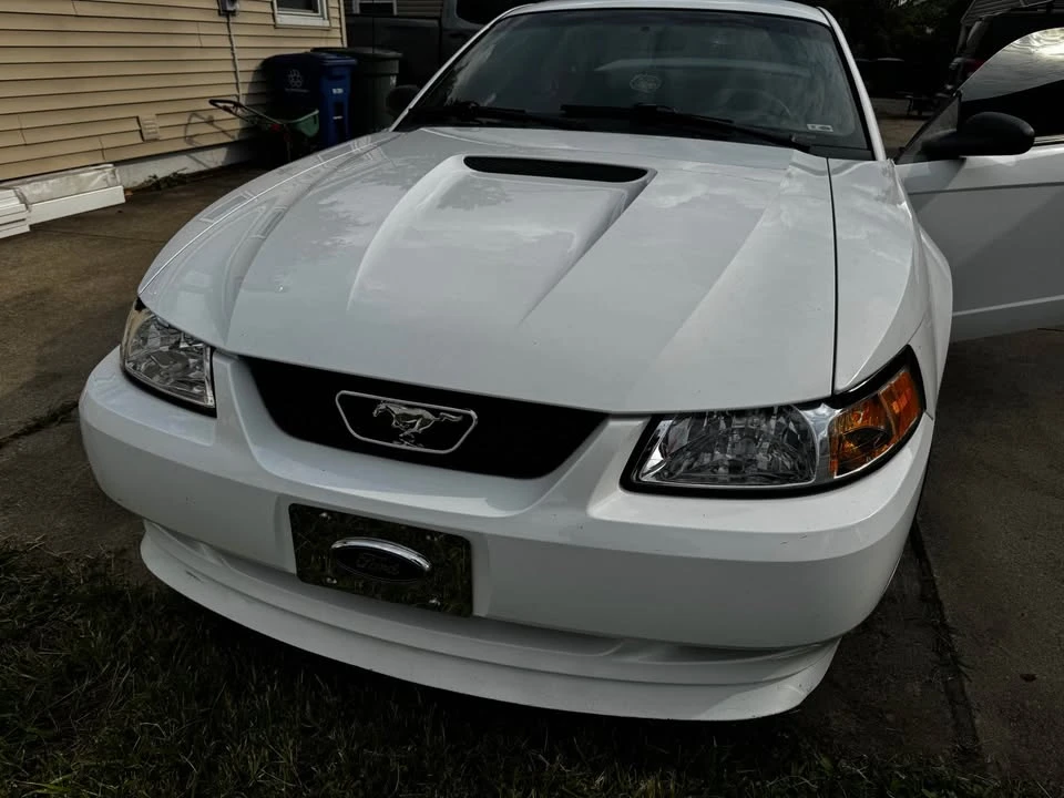 1999 Ford SN95 Mustang - Image 8 of 9