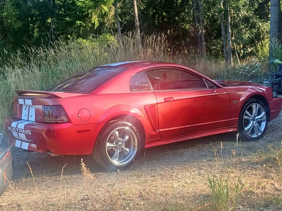 1999 Ford SN95 Mustang - Image 3 of 8