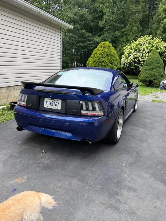 1999 Ford SN95 Mustang - Image 4 of 14