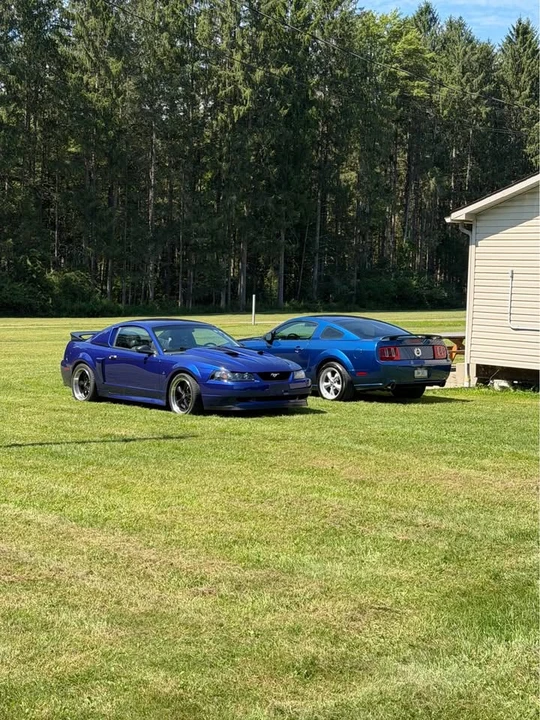 1999 Ford SN95 Mustang - Image 10 of 14