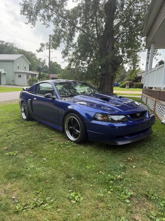 1999 Ford SN95 Mustang - Image 3 of 14
