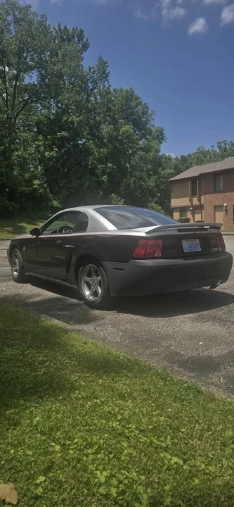 1999 Ford SN95 Mustang - Image 8 of 8