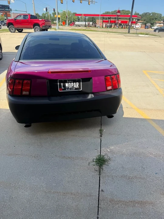 1999 Ford SN95 Mustang - Image 3 of 3