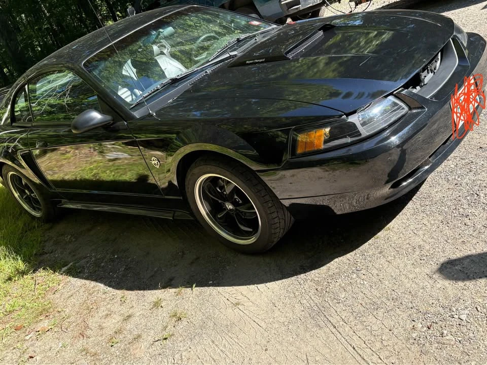 1999 Ford SN95 Mustang - Image 3 of 11