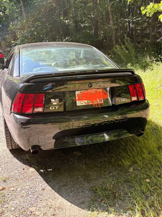 1999 Ford SN95 Mustang - Image 4 of 11