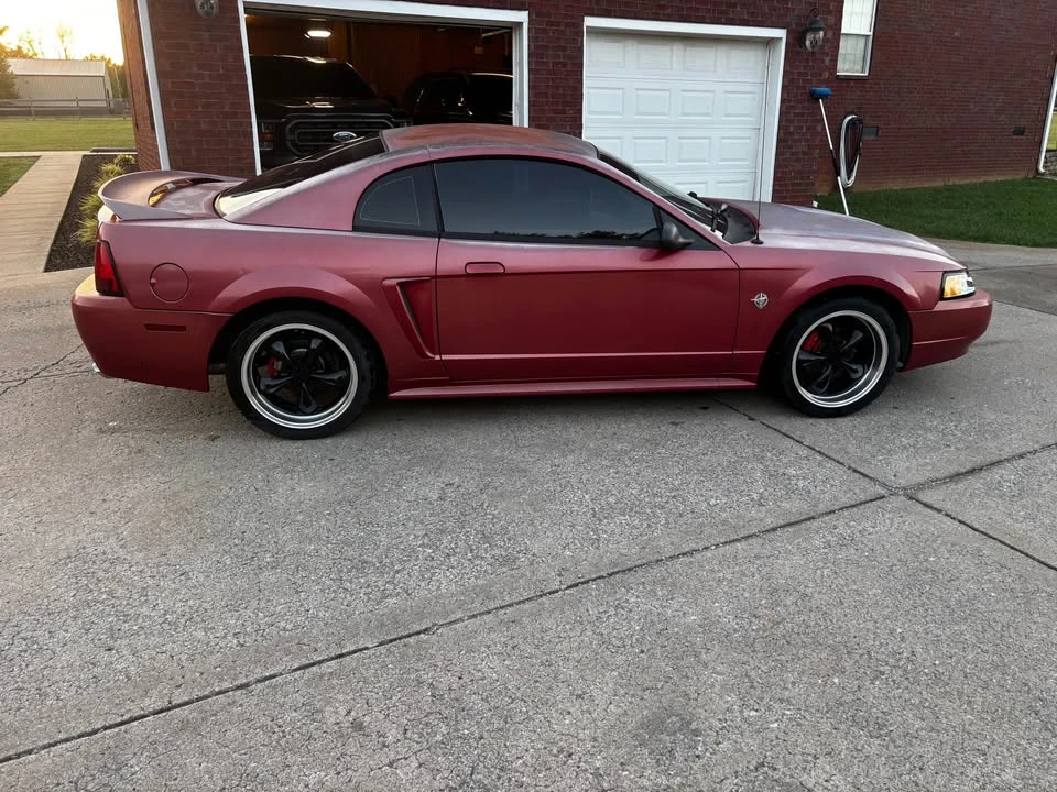 1999 Ford SN95 Mustang - Image 2 of 12