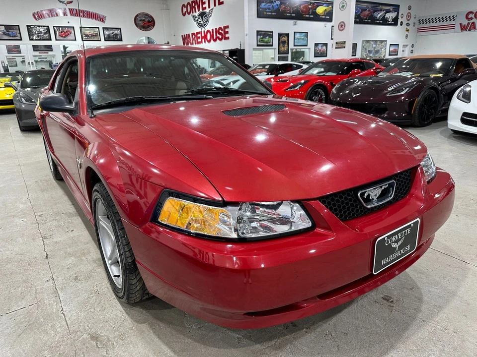 1999 Ford SN95 Mustang - Image 5 of 11
