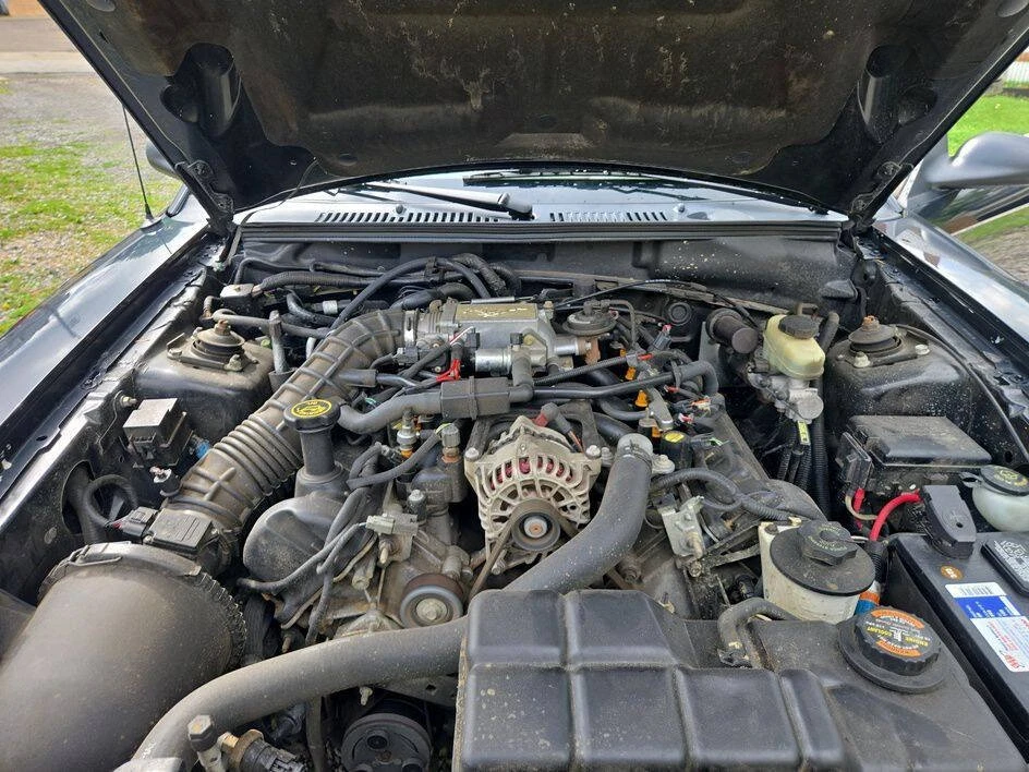 1999 Ford SN95 Mustang - Image 9 of 15