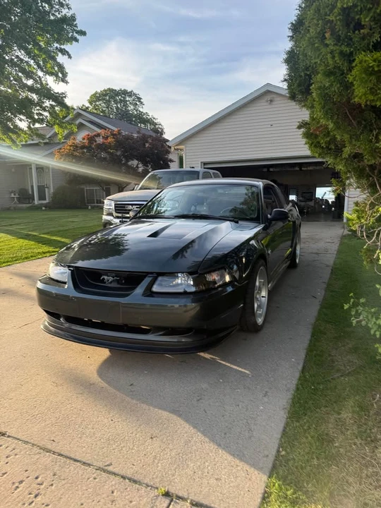 1999 Ford SN95 Mustang - Image 2 of 14
