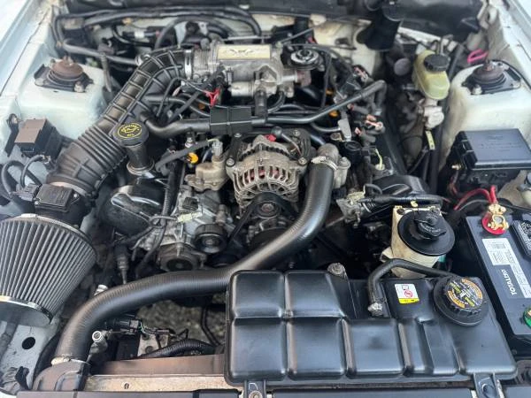 1999 Ford SN95 Mustang - Image 17 of 17
